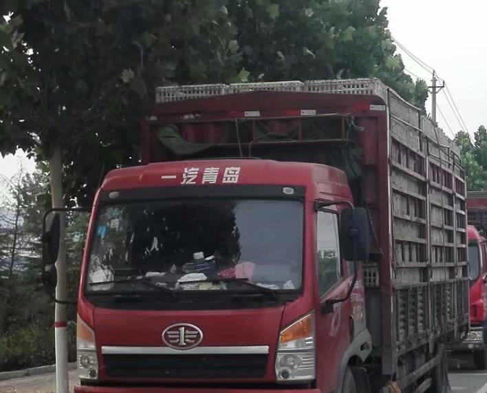 GPS車輛管理系統(tǒng)